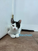 images-3.jpg