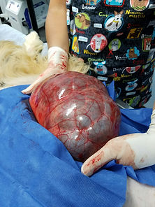 images-2.jpg